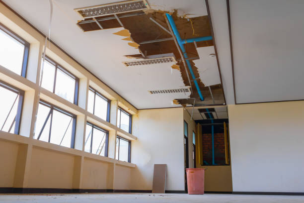 Best Water damage restoration cost  in Gladeville, TN