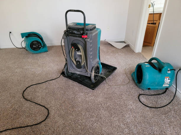Best Water damage restoration experts  in Gladeville, TN