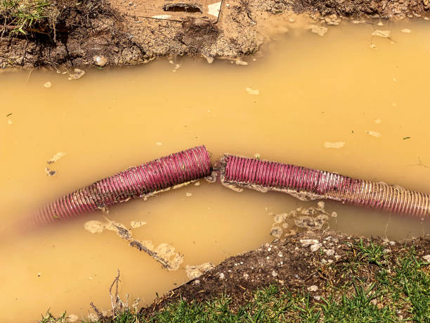 Best Carpet water damage restoration  in Gladeville, TN