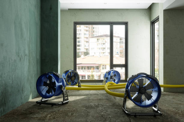 Best Water damage restoration specialists  in Gladeville, TN